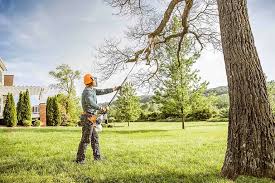 Seasonal Cleanup in West Baraboo, WI